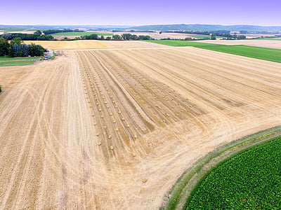 pogled iz zraka, polje, sijena, Poljoprivreda, ptičje perspektive, let, Seoski prizor