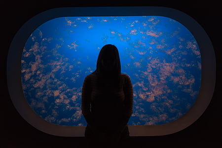 lidé, sám, silueta, tmavý, akvárium, modrá, voda