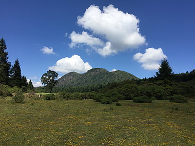 Aussichtspunkt, Sabanera, Morelia, Natur, Berg, Wald, Landschaft