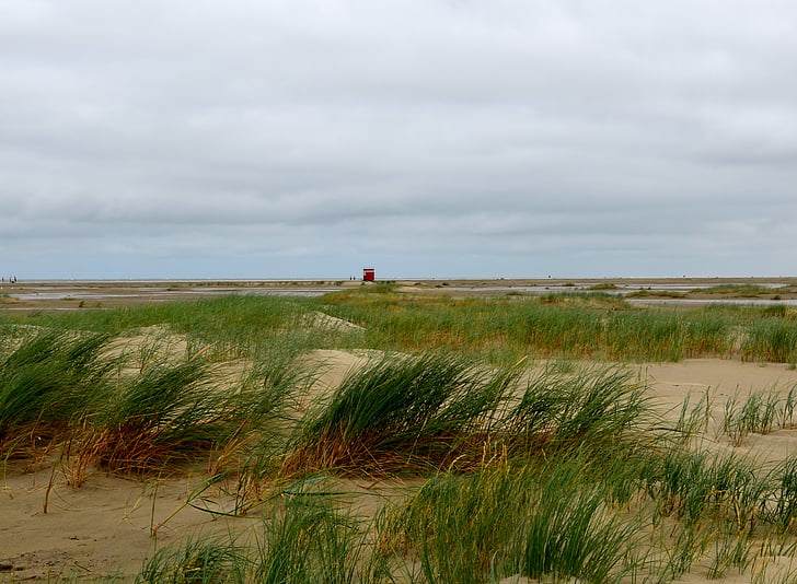 морская трава, пляж, Северное море, Дюна трава, пляж молодежный Borkum, настроение