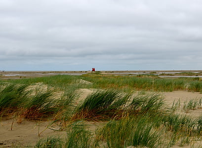 iarba mare, plajă, Marea Nordului, Dune iarba, plaja de tineret Borkum, starea de spirit