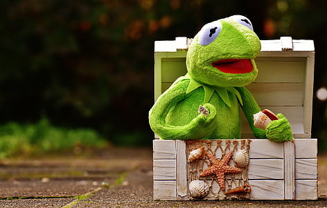 kermit, frog, chest, mussels, fishing net, toys, green