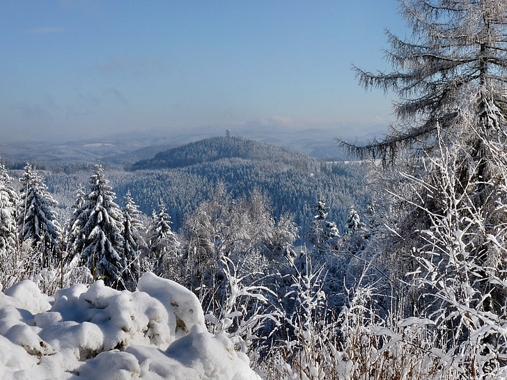 weifen kalnų bokštas, žiemą, žiemos, snieguotas, Saksonijos Šveicarija, sniego, nuo užšalimo