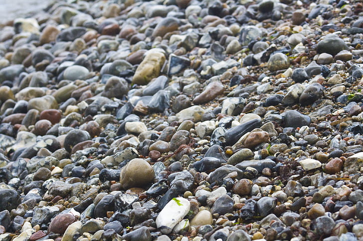 pedres, platja, fons, Mar, mullat