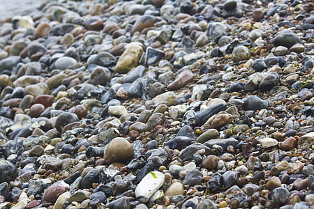 kameny, pláž, pozadí, Já?, mokrý