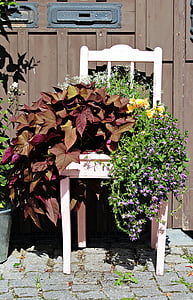 stol, Deco, plante, dekorative, blomstermotiver, Bloom, ornament