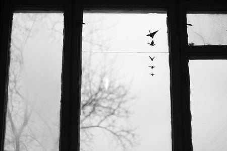 silhouette, Windows, liste, troupeau, oiseaux, Flying, près de :