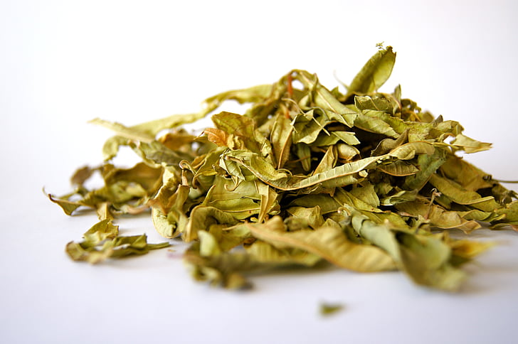 tee, Herb, krydder, Bland, alpint, natur, deilig