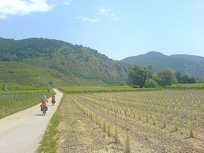 Austrija, ainava, Scenic, kalni, ieleja, velosipēdi, bicyclists