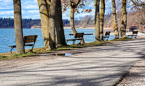 bench, bank, water, lake, seat, out, nature
