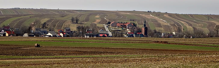 fält, Polen, jordbruk, Polen village, odling av, landskap