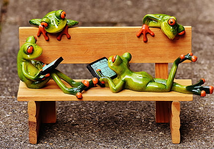 frogs, computer, bank, bench, relaxed, figure, funny