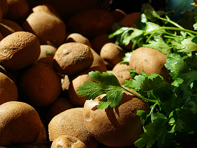 zemiaky, rastlinné, jedlo, čerstvé, organické, zdravé, prírodné