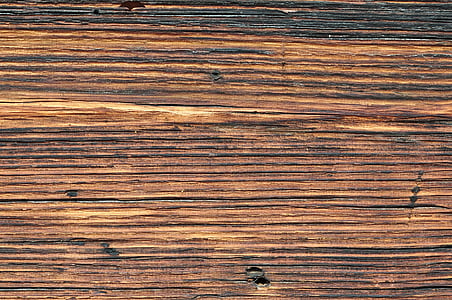 madeira, natureza, marrom, plano de fundo