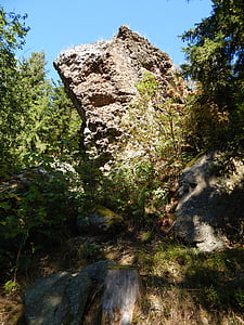 Rock, stein, skog, fjell, natur, struktur, stein