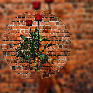 roses, flowers, red rose, vase, ball