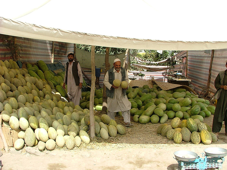 dinnye, piaci stand, Kabul, gyümölcsök, cég, teljes