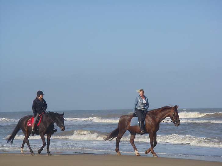 konji, Beach, morje, plaža vožnjo, kolesarji, pomlad, modro nebo