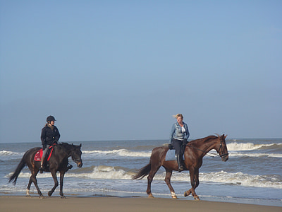 hästar, stranden, havet, stranden ride, Riders, våren, blå himmel