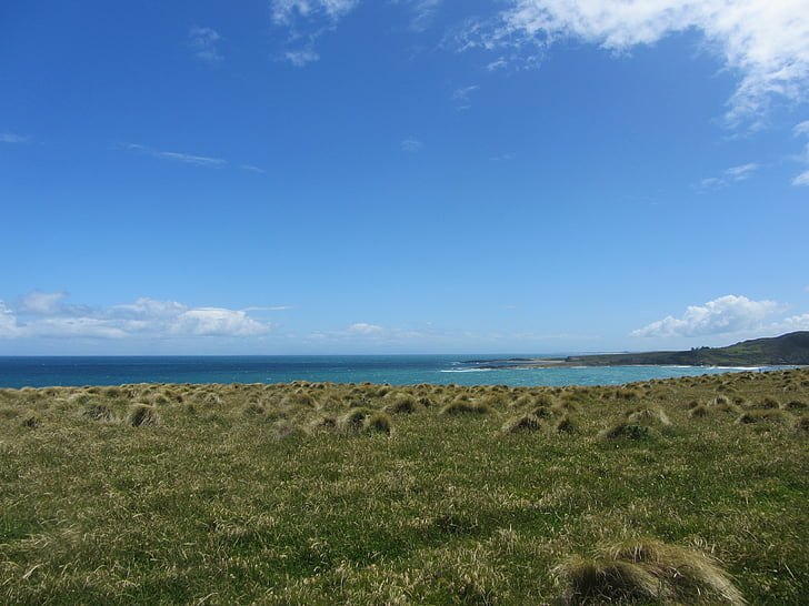 Nouvelle-Zélande, nature, bleu, vert, NZ, herbe, paysage