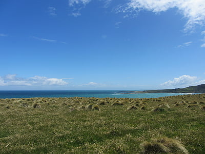 Noua Zeelandă, natura, albastru, verde, NZ, iarba, peisaj