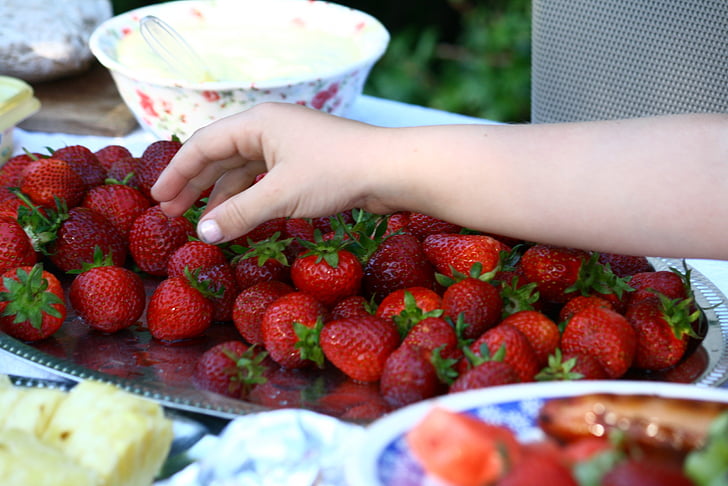strawberries, child, hand, strawberry, healthy, summer, berry