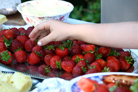 maasikad, lapse, käsi, maasikas, terve, suvel, marja