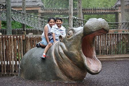 hipopótamo, animal, jardim zoológico, hipopótamo, mamífero, engraçado, crianças