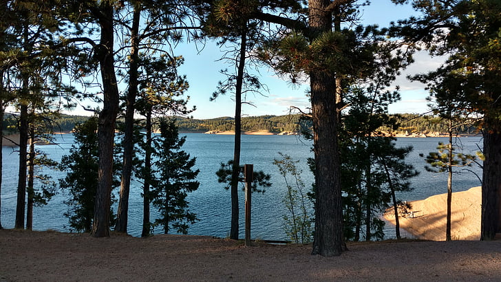 trees, lake, rampart reservoir, reservoir, colorado, water, lodgepole pines