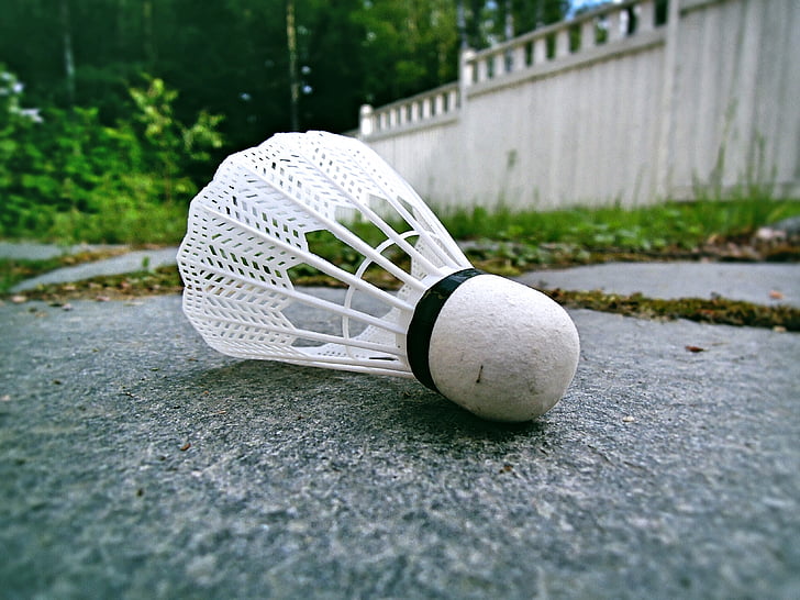 badminton, ball, feather, game, summer species