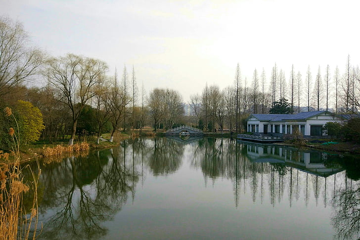 water's edge, Zmierzch, Park
