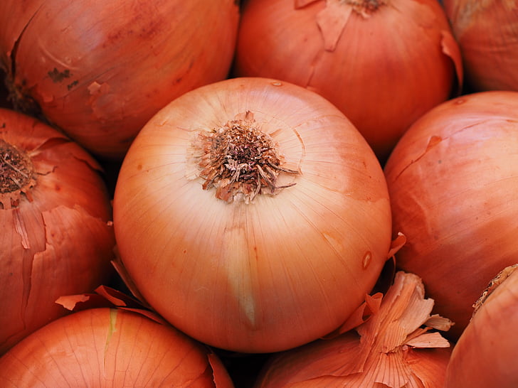 vegetable onion, onion, food, shell, market, vegetables, brown
