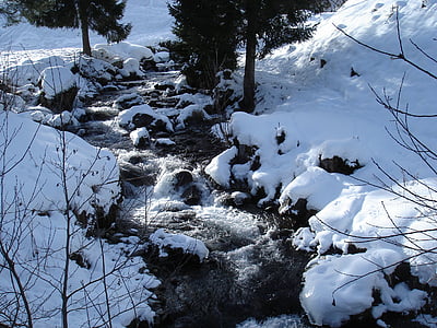 vùng Chartreuse, tuyết, núi, tuyết phong cảnh, đi bộ đường dài, mùa đông, cảnh quan