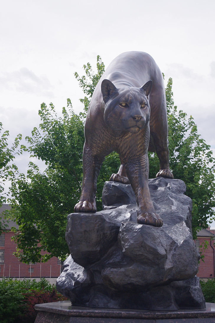 Cougar, posąg, Mountain lion, Kot, Rzeźba