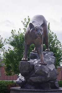 Puma, szobor, hegyi oroszlán, macska, szobrászat