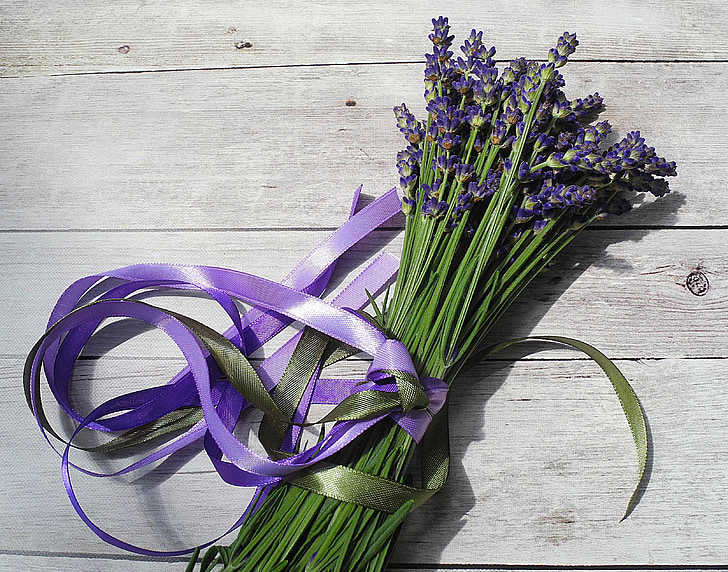 lavandas, puķe, Violeta, violetu ziedu, ķekars puķes, lentes, augu