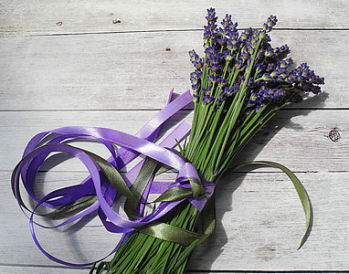 lavanda, flor, púrpura, flor morada, ramo de flores, cinta, planta