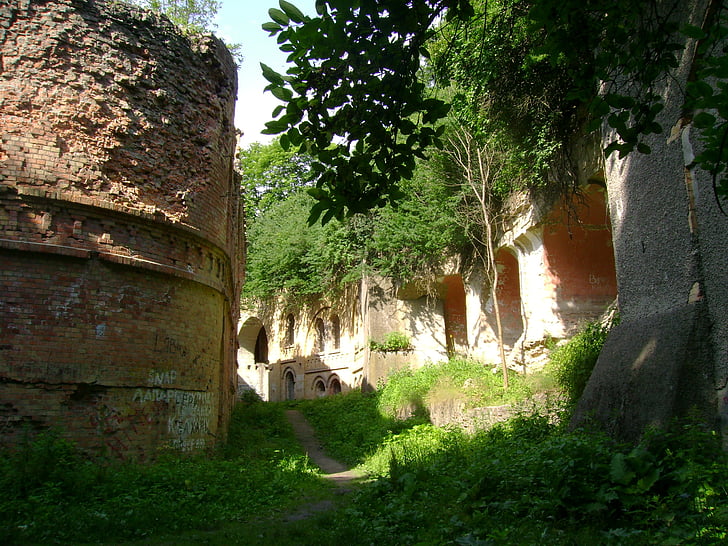 Ucraïna, tarakanìv, fort, arquitectura, història, arbre, vell