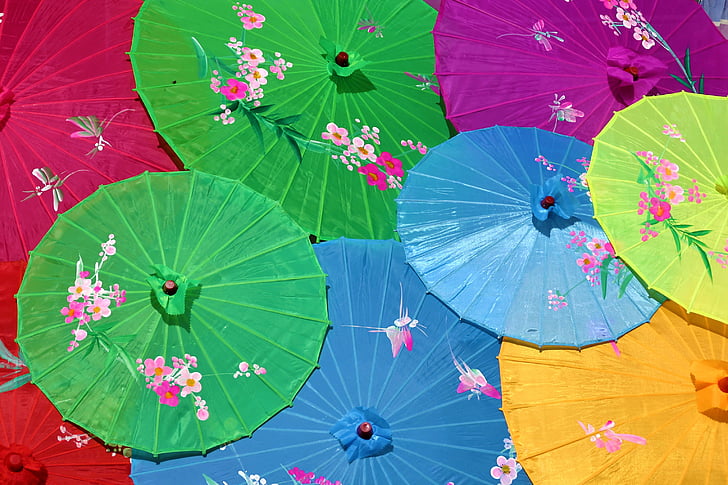 Kiinan sateenvarjot, näytöt, värikäs, sisustettu, Parasol, lehti, vihreä väri