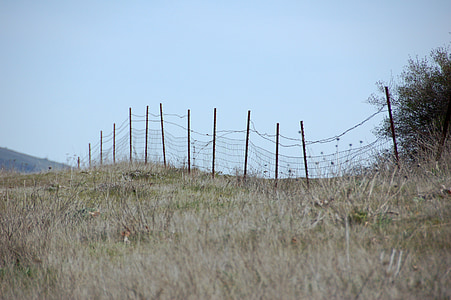 recinzione, recinto di filo metallico, recinto del campo, filo spinato, campo, cielo, cielo blu