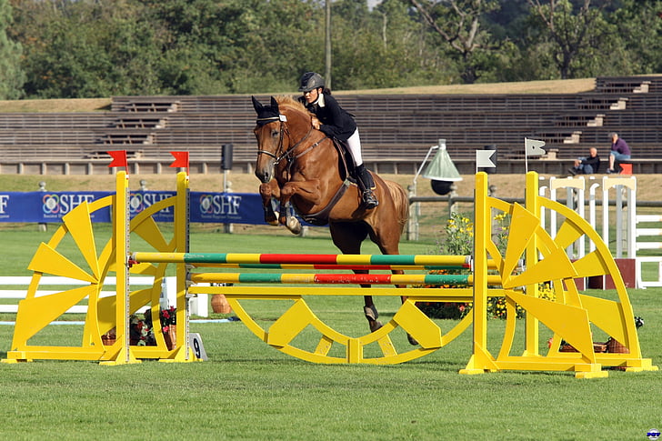 Contest, Equestrian, hest, Sport, konkurrence