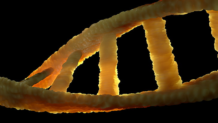 DNA, DNS, biologi, genetiskt material, Double helix, molekyl, adenin
