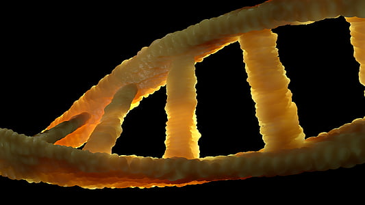ДНК, DNS, Биология, генетический материал, двойной спирали, молекула, аденин
