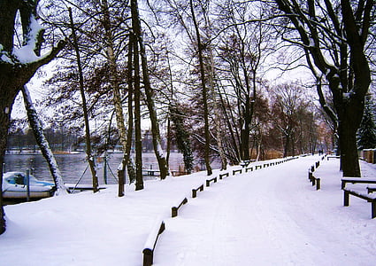 berlin-konradshohe, germany, park, winter, snow, trail, tress