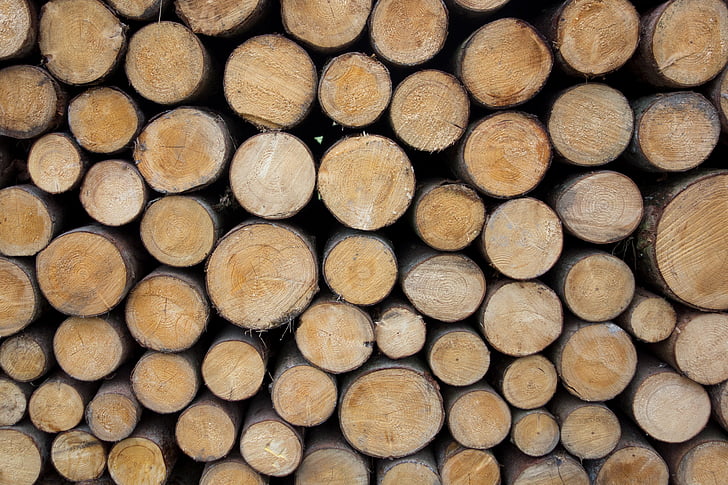 bois, holzstapel, travailleurs forestiers, bois de chauffage, bois, matériel sur pied, industrie du bois