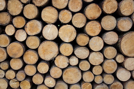 medienos, holzstapel, miško darbuotojai, malkinė mediena, medienos, auga akcijų, medienos pramonė