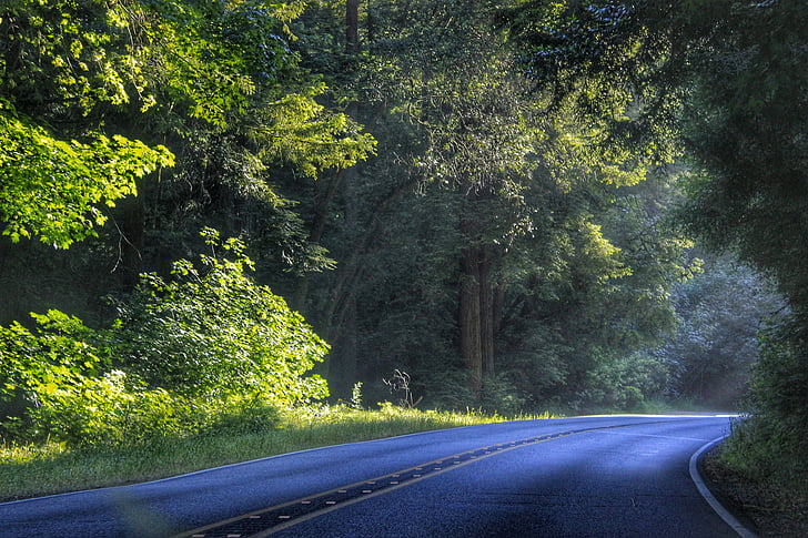 podeželski cesti, pot, narave, cesti, potovanja, bujne, gozd