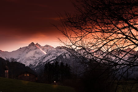 allgäu, autumn, forest, mountains, evening light, mystical, alpine