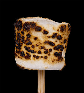 marshmallow, roasted, toasted, fire, stick, campfire, camping