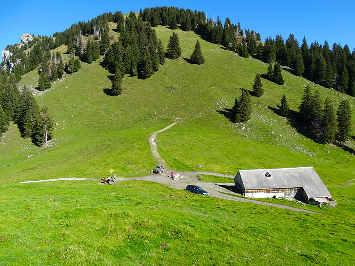 ALM, Alpine hut, bergalp, Alp eyer, Hill, Alpler'in eteklerinde, alpwirtschaft